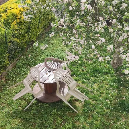 La Maison Du Pecheur Livinhac-le-Haut Buitenkant foto